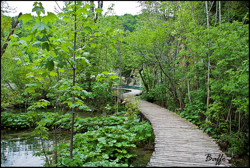 Laghi di Plitvice-Croazia-